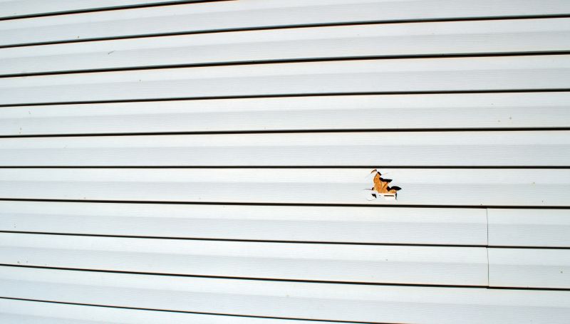 Insurance Claims Specialists